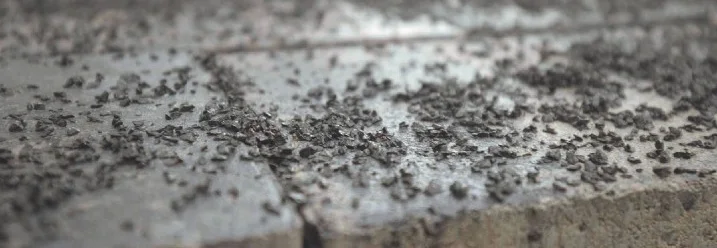 Dunkel verfugte Steinplatten